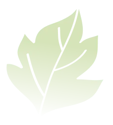 Foresta